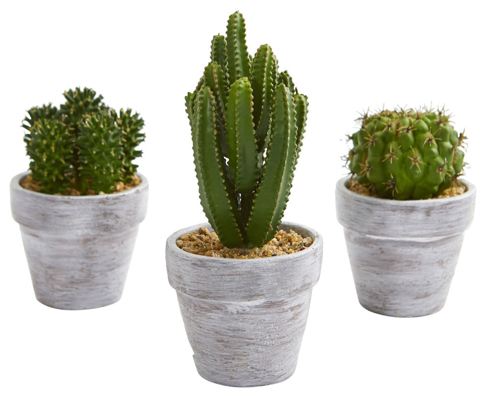 Shows the entire 3-piece cactus set on a white background (primary product image).