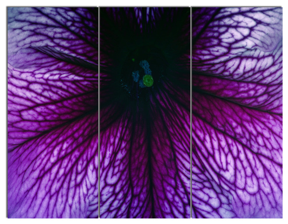 Abstract Purple Floral Design, Floral Triptych Canvas Art Print, 36x28, 3 Panels