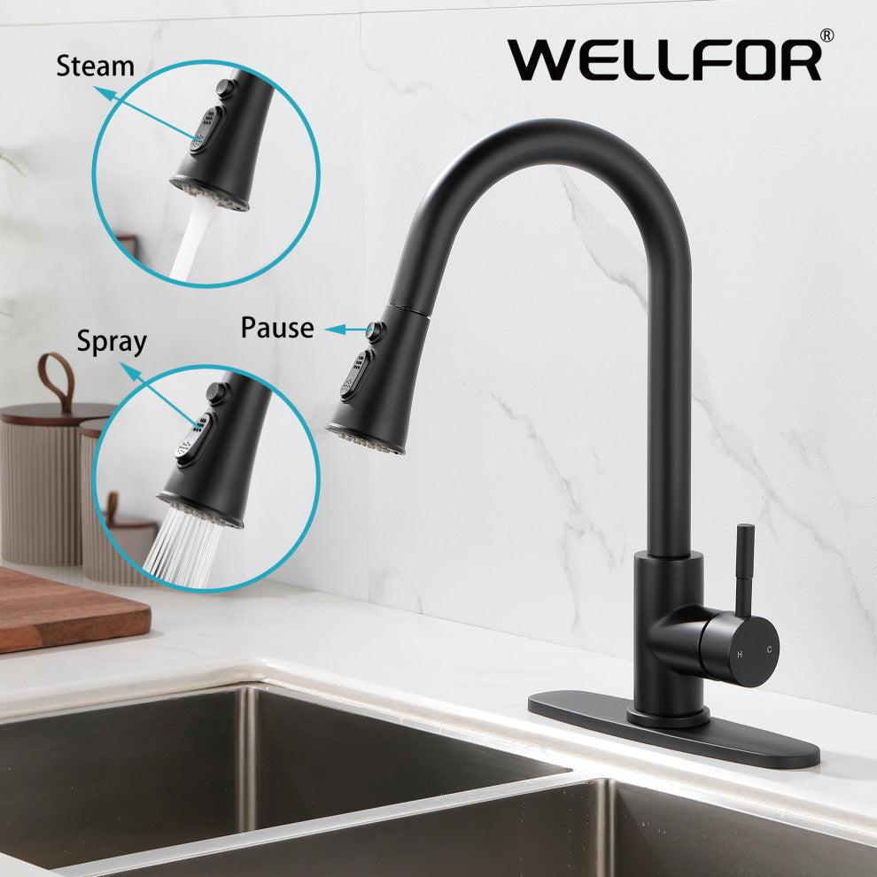 Wellfor Stainless Steel Kitchen Sink Faucet with Pull Down Spray, Matte Black