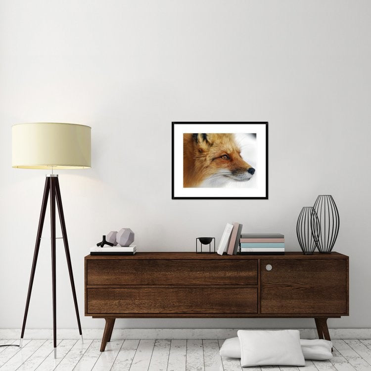 "Red Fox" Framed Digital Print by Alain Turgeon, 32x26"