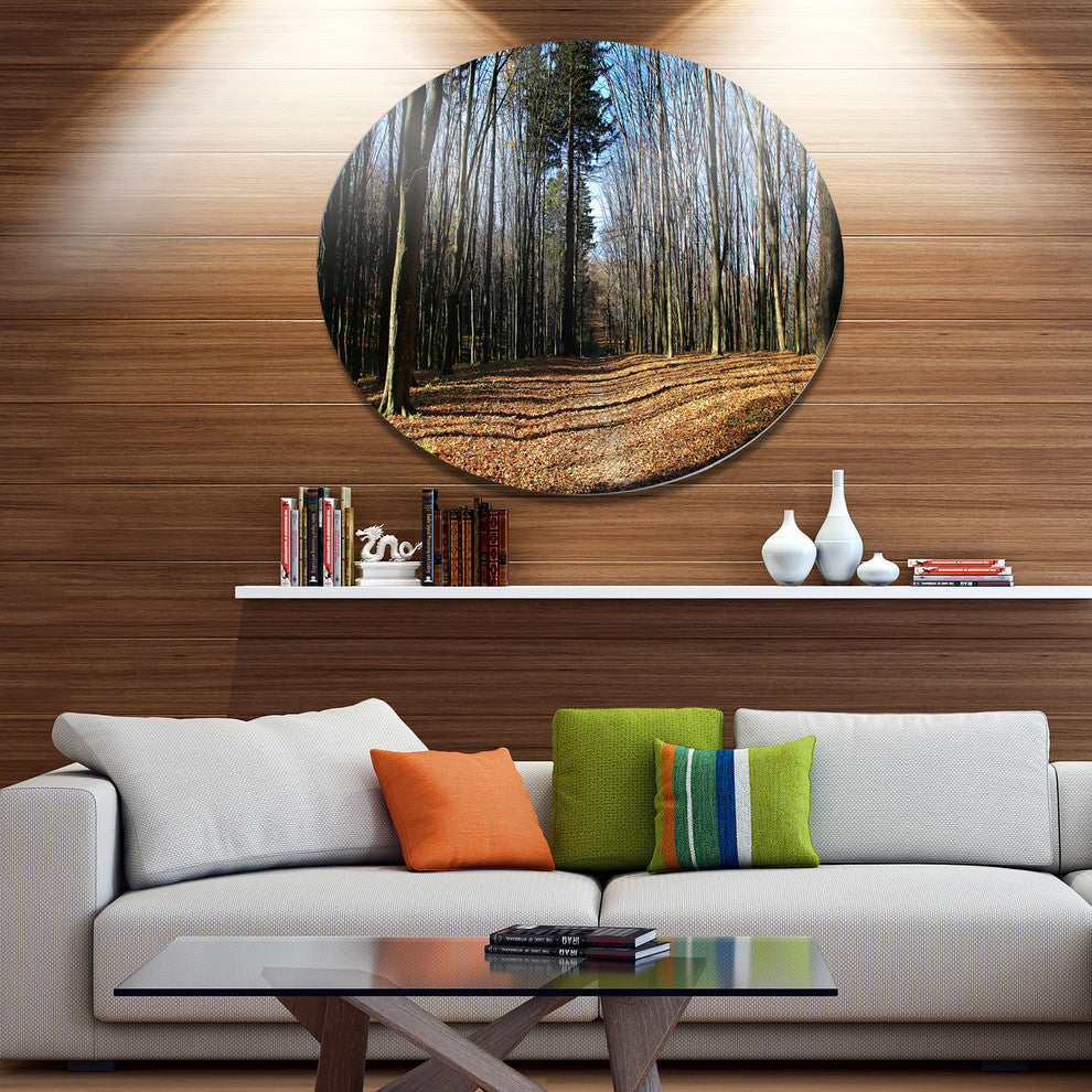 Fall Forest In Sunlight And Shadows, Forest Disc Metal Artwork, 36"