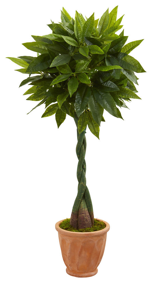 5" Money Artificial Tree, Terracotta Planter, Real Touch