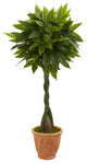 5" Money Artificial Tree, Terracotta Planter, Real Touch