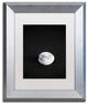 Philippe Sainte-Laudy 'White Stone' Matted Framed Art
