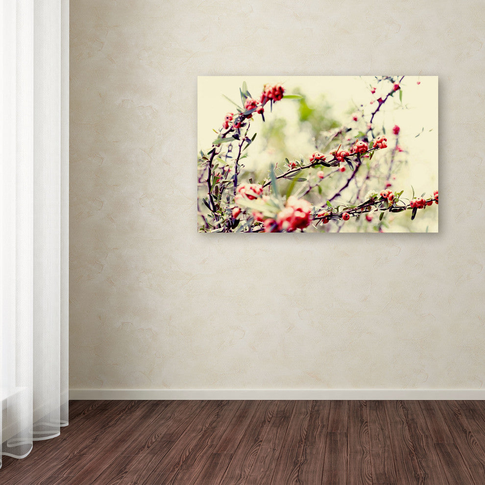 'Summer Melody' Canvas Art by Beata Czyzowska Young