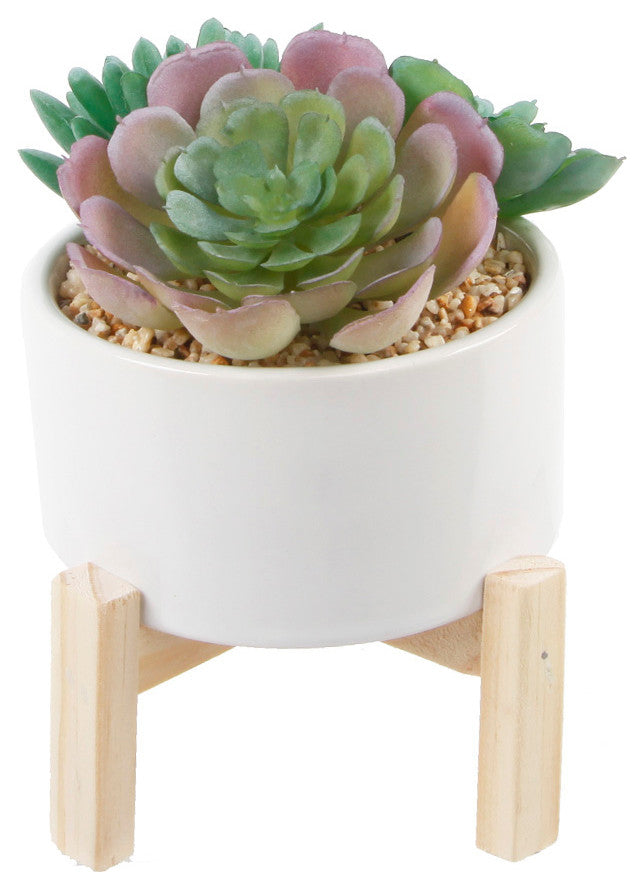 4" Succulents Mix In Pot W/ Stand