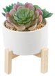 4" Succulents Mix In Pot W/ Stand
