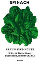 Spinach - Gallery Wrapped Canvas Art 28" x 42"