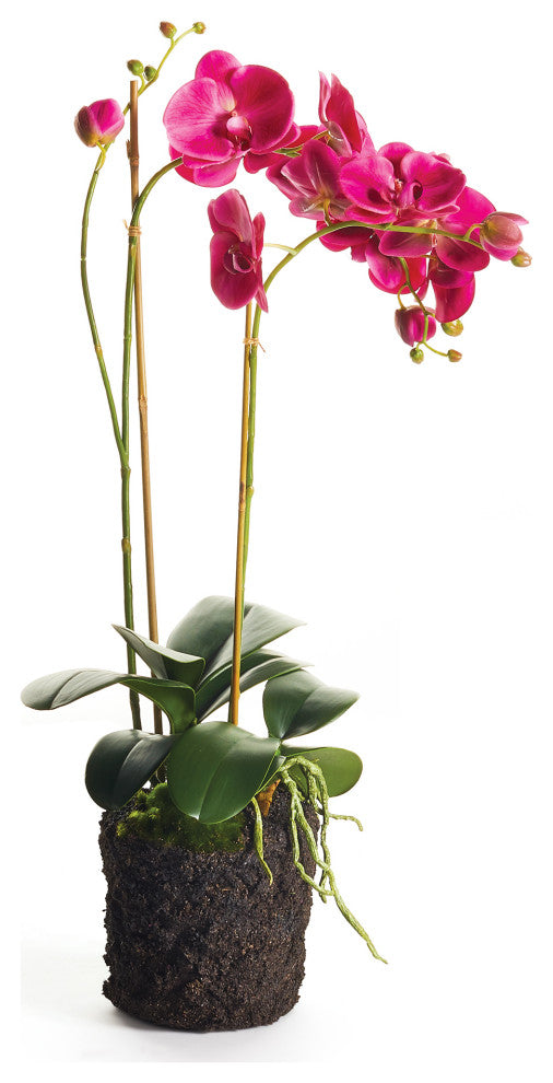 Realistic Orchid 2 Stem Drop-In, 29"