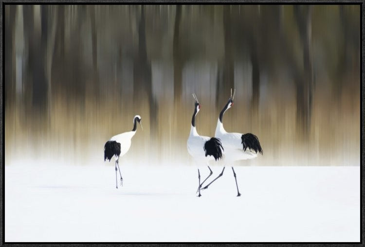 Sing A Song Of Love, 30"x20"