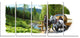 "Green Landscape With Horse" Digital Art Canvas Print, 5 Panels, 60"x28"