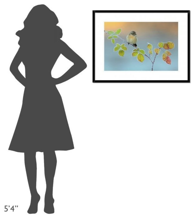 "Winter Colors" Framed Digital Print by Andres Miguel Dominguez, 32x24"