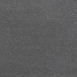 Lexicon Seabright Traditional Wood and Faux Leather Twin Bed in Gray