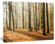 Bright Autumn Day in Thick Forest, Modern Forest Canvas Art, 40"x30"