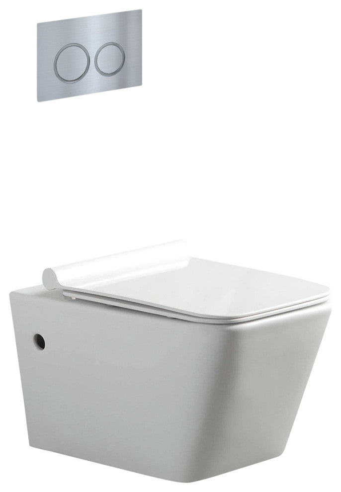 In-Wall Toilet Set, 2"x6" Carrier and Tank, Chrome Round Actuators