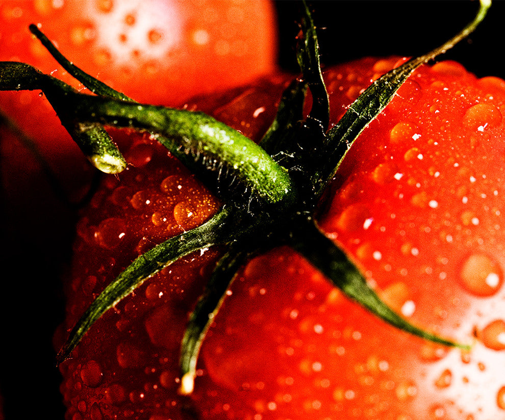 "La Tomatina" Metal, 20"x24"