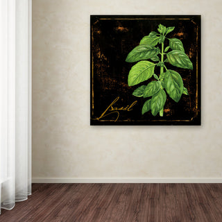 Color Bakery 'Black Gold Herbs IV' Canvas Art, 18"x18"