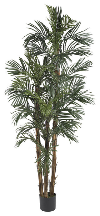Full product view on solid white background as an alternate full-view image.