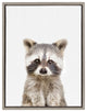 Sylvie Baby Racoon Animal Print Framed Canvas Wall Art by Amy Peterson, 18x24