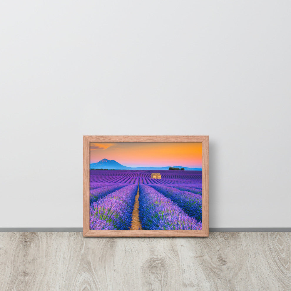 Blooming Lavender Field and Sunset Floral Landscape Framed Photo Wall Art Prints, Red Oak, 11" X 14"