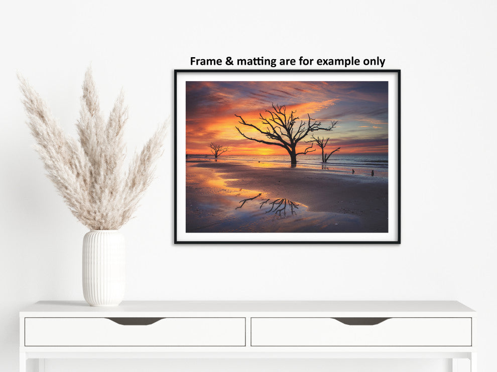 Sunrise and Trees At Edisto Island Coastal Landscape Photo Loose Wall Art Print, 24" X 36"