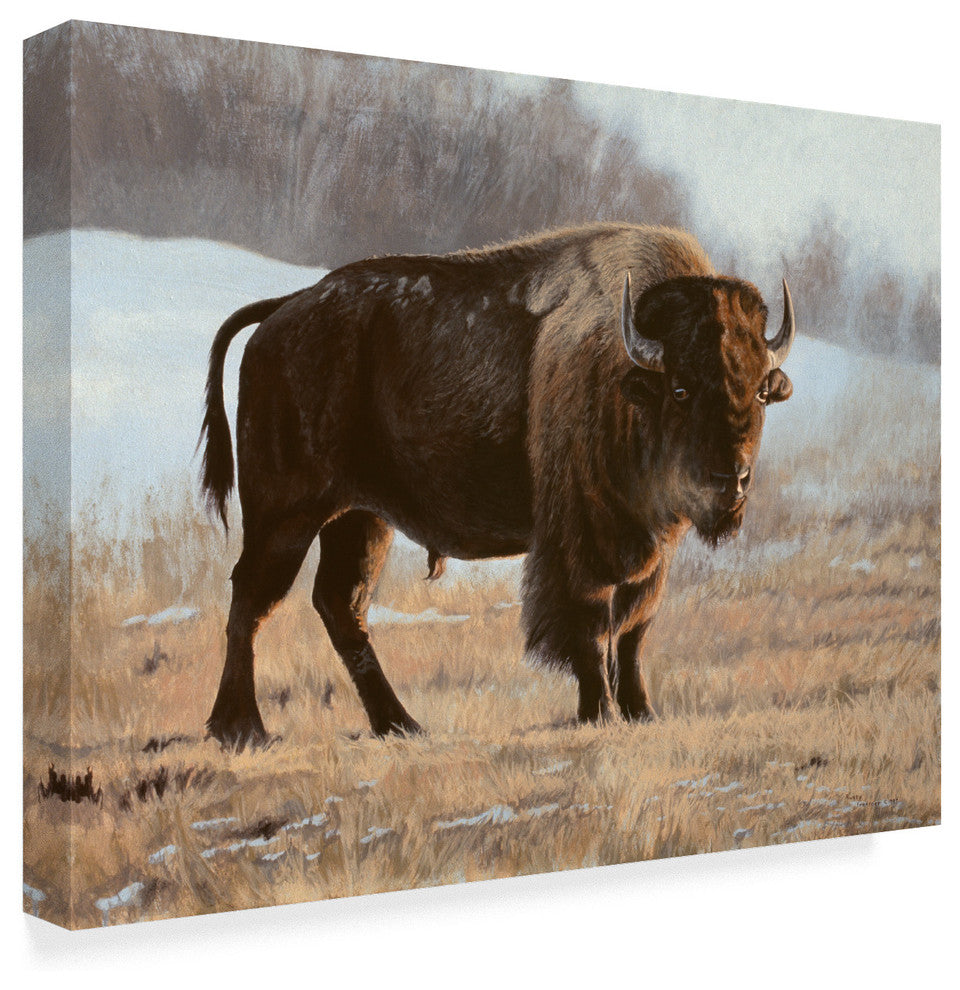 Rusty Frentner 'Bison' Canvas Art, 24"x18"