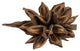 Vickerman H2Sta000 6" Natural Star Pod, 1 Piece, Dried