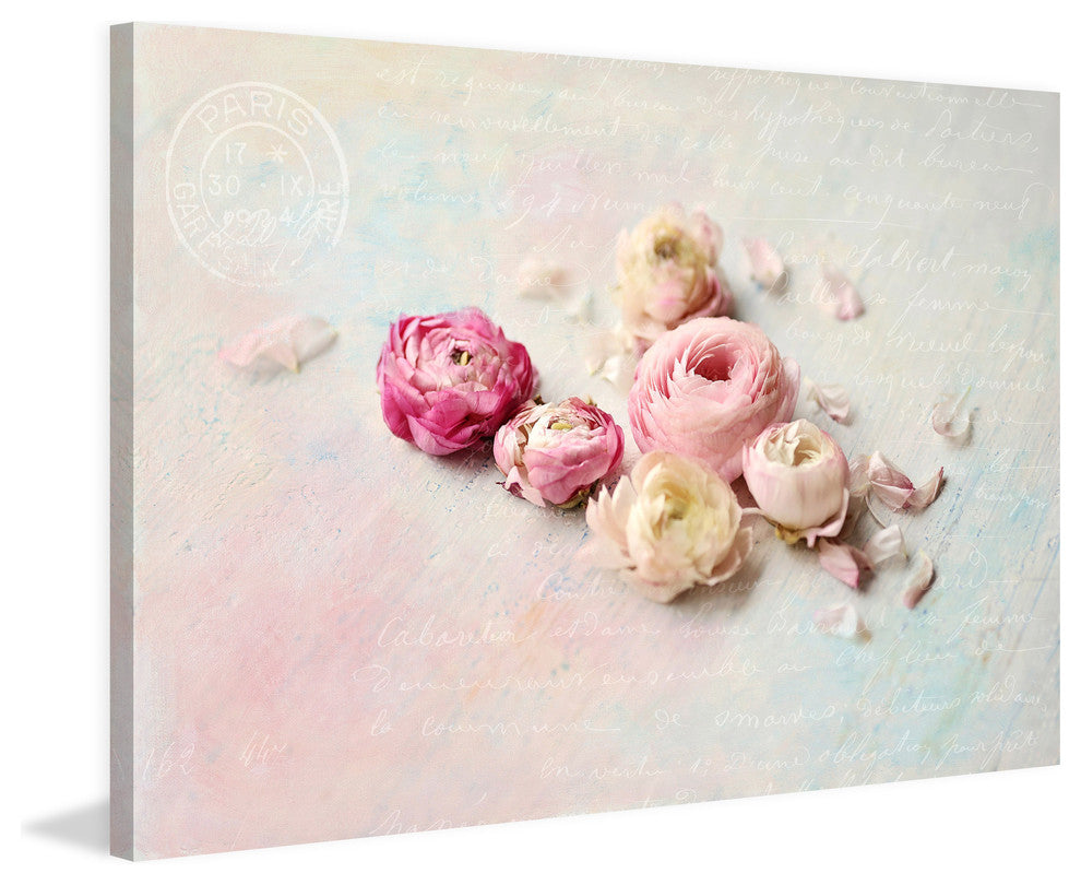 Marmont Hill, "Ranunculus Petals" by Sylvia Cook Print on Wrapped Canvas, 18x12