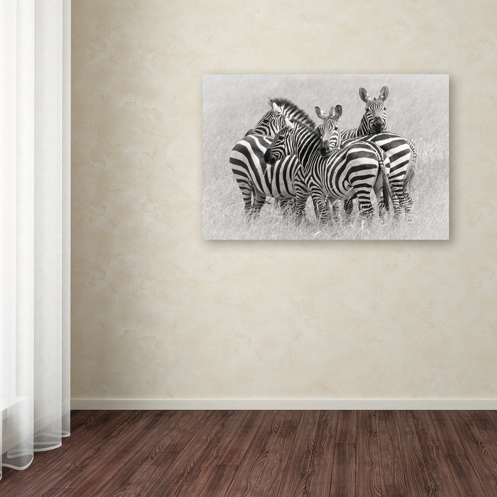 Kirill Trubitsyn 'Zebras' Canvas Art, 32 x 22
