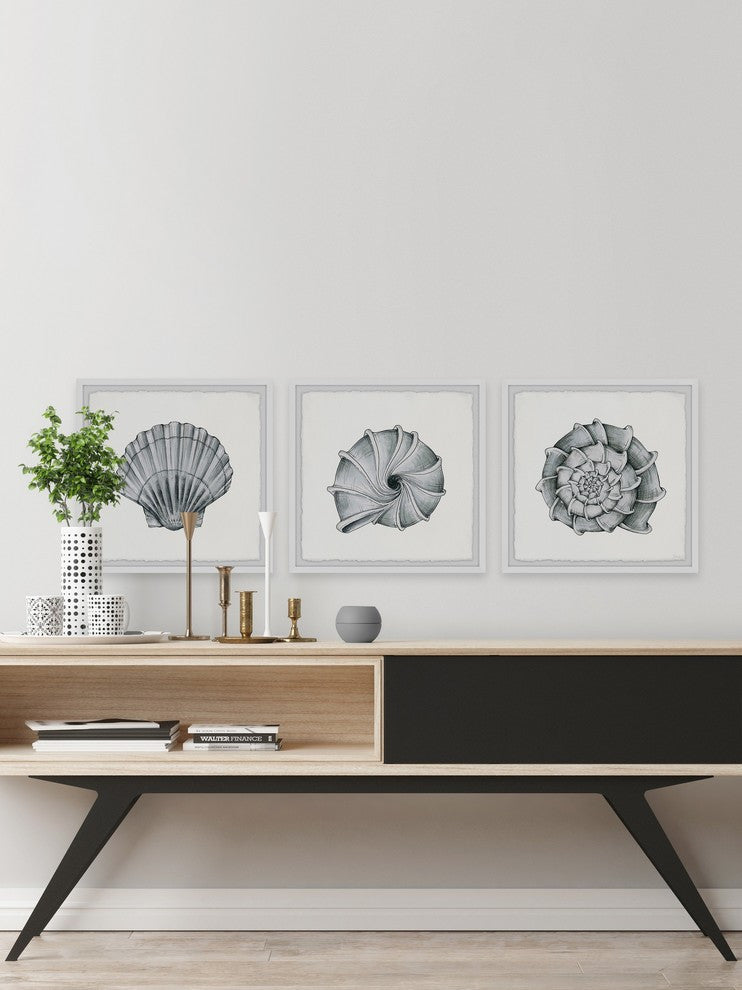 Pretty Shells Triptych, 54"x18"