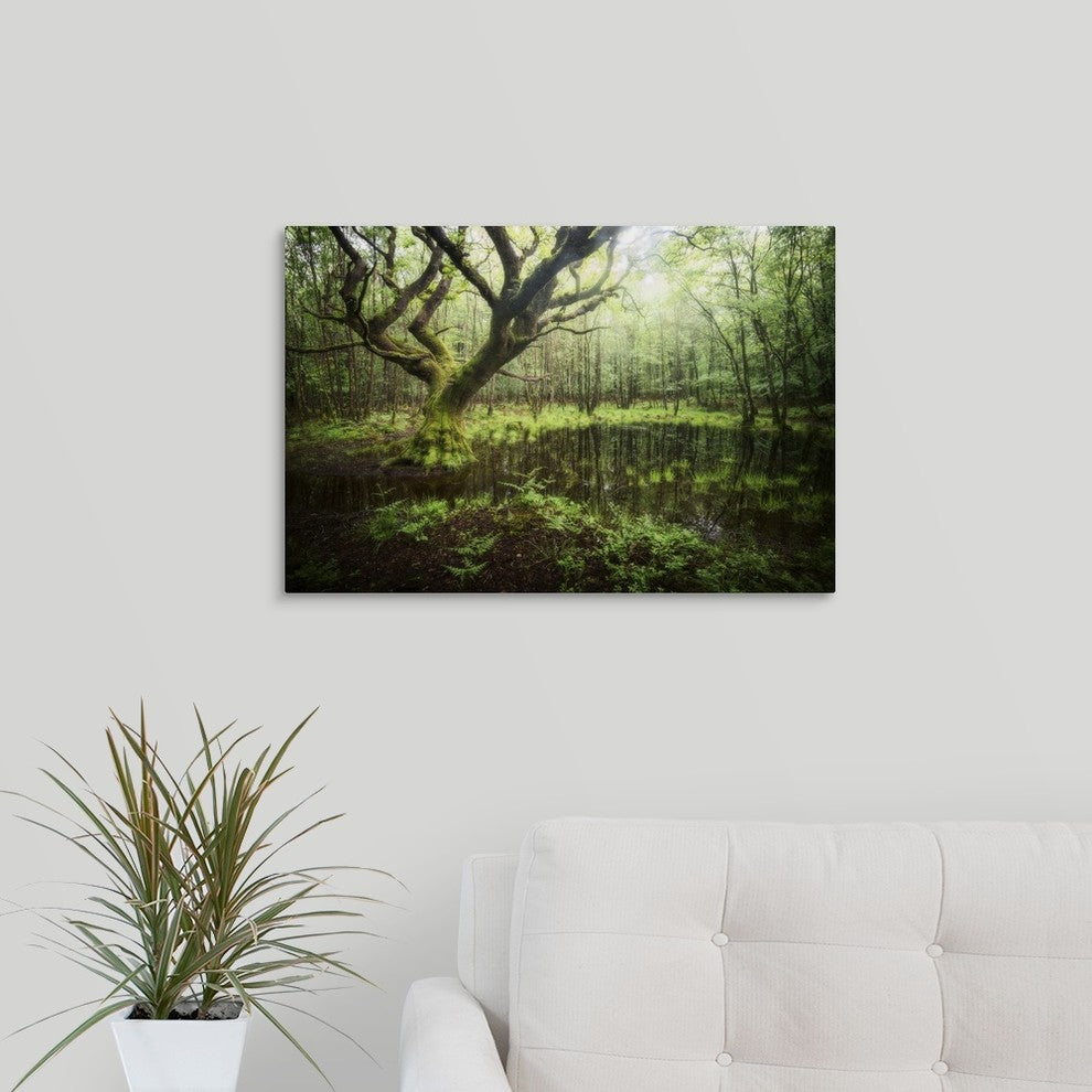"Hetre de la Marre" Wrapped Canvas Art Print, 24"x16"x1.5"