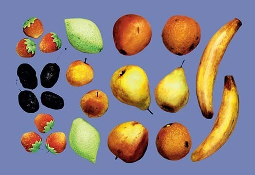 Painted Fruit- Gallery Wrapped Canvas Art 28" x 42"