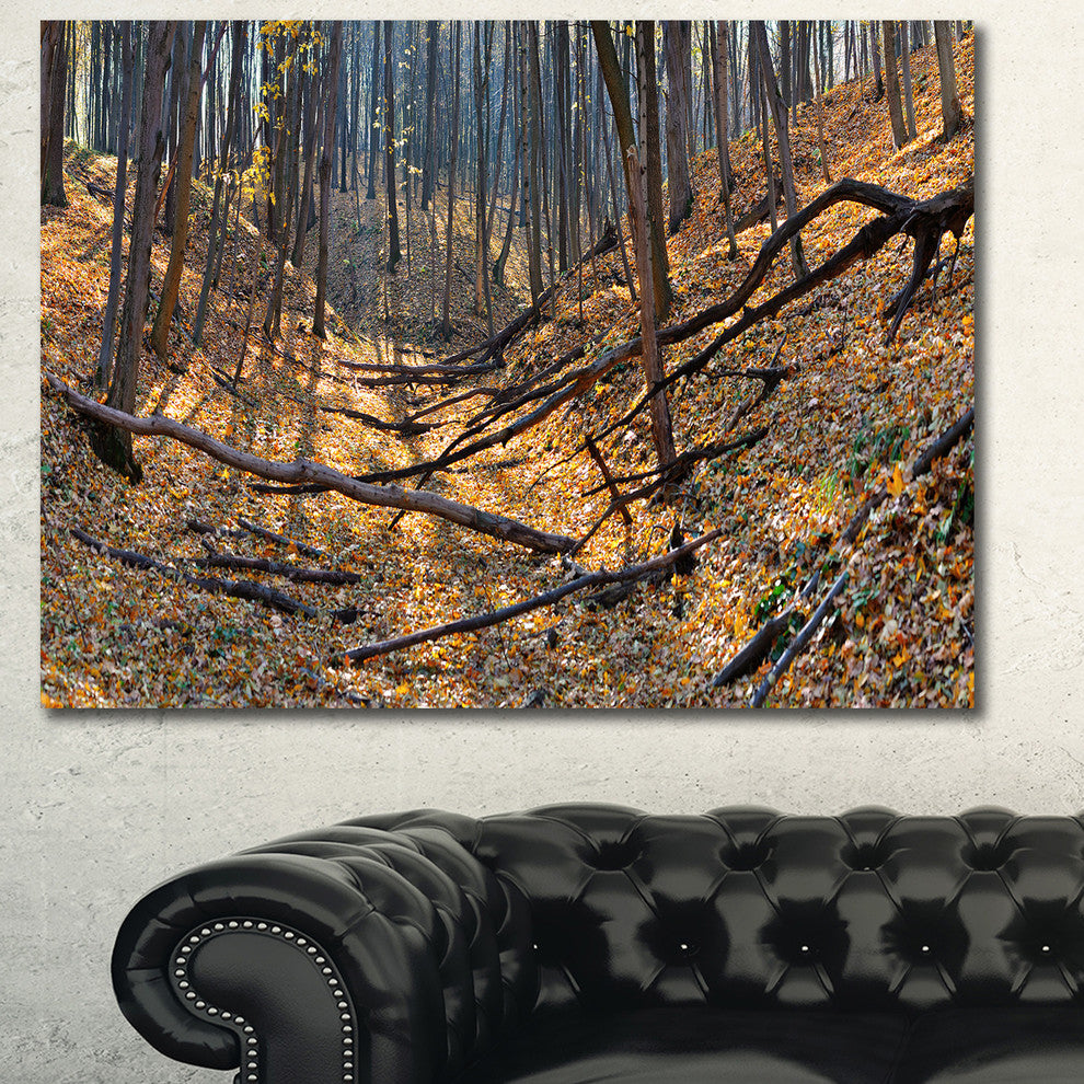 Thick Autumn Forest Panorama, Landscape Canvas Art Print, 40"x30"