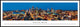 Kansas City, Missouri, Standard Frame