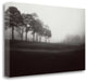"Fog Tree Study III" By Jamie Cook, Giclee Print on Gallery Wrap Canvas