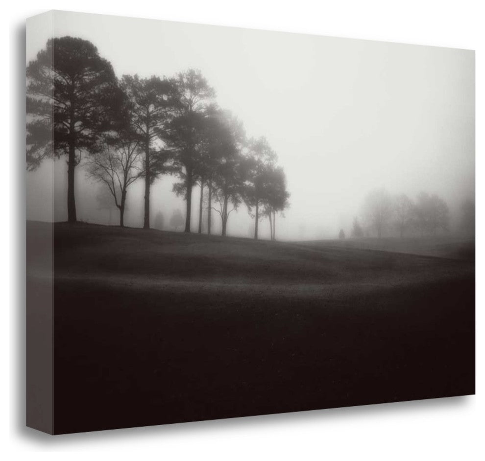 "Fog Tree Study III" By Jamie Cook, Giclee Print on Gallery Wrap Canvas