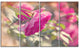 Beautiful Pink Rose Flowers, Floral Canvas Art Print, 48"x28", 4 Panels