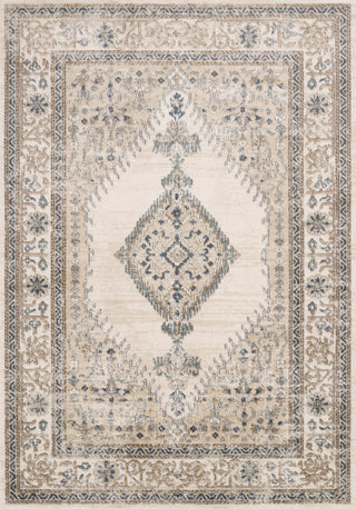 Teagan TEA-02 Area Rug, Oatmeal/Ivory, 18" X 18" Sample