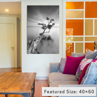 "Water Tree V Gallery" by Moises Levy, 26x18x1.5"