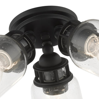 Black Industrial, Nostalgic, Transitional, Modern Classic Flush Mount