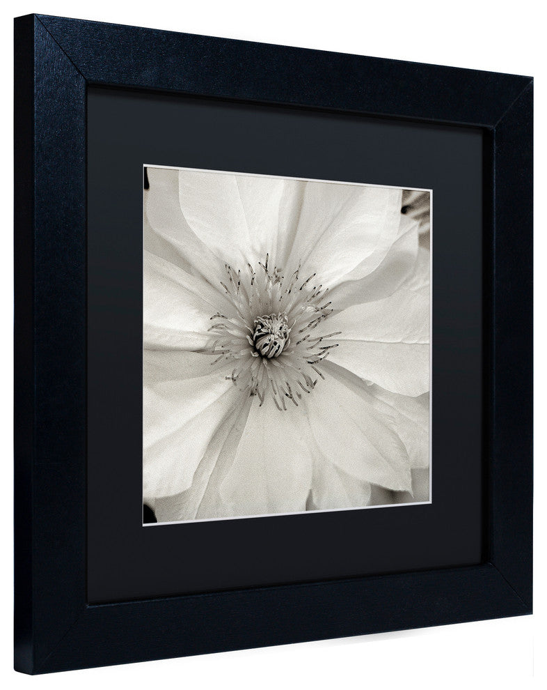 Alan Blaustein 'Florison 32' Art, Black Frame, Black Mat, 11x11
