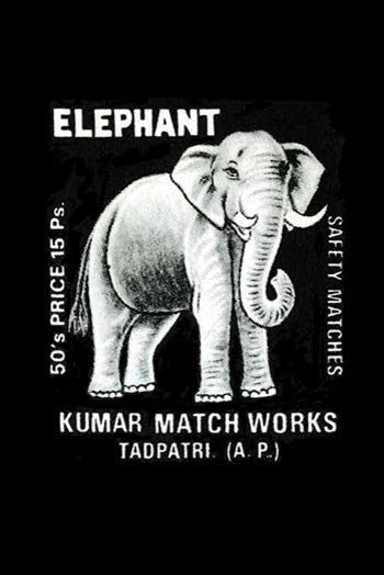 Elephant- Gallery Wrapped Canvas Art 28" x 42"