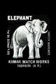 Elephant- Gallery Wrapped Canvas Art 28" x 42"