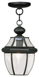 Monterey Outdoor Chain-Hang Light, Antique Brass, Black
