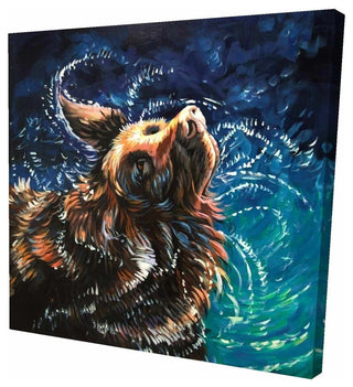 Wet Golden Retreiver Shaking To Dry Print On Wrapped Canvas, 36"x36"