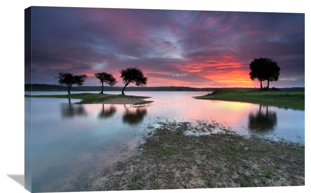 "The Blessing Of The Sun" Stretched Canvas Giclee by Rui David, 36x24"