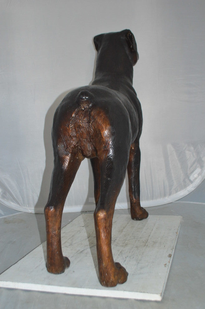 Rottweiler Dog Bronze Statue -  Size: 44"L x 10"W x 36"H.