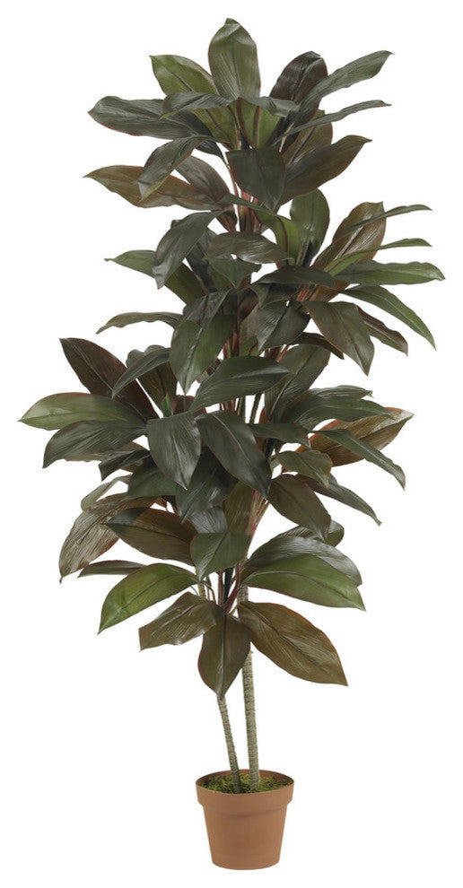 5' Cordyline Silk Plant, Real Touch