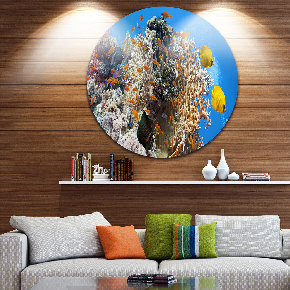 Coral Scene Panorama, Photo Large Disc Metal Wall Art, 23"