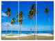 "Bright and Clear Tropical Beach" Metal Wall Art, 3 Panels, 36"x28"
